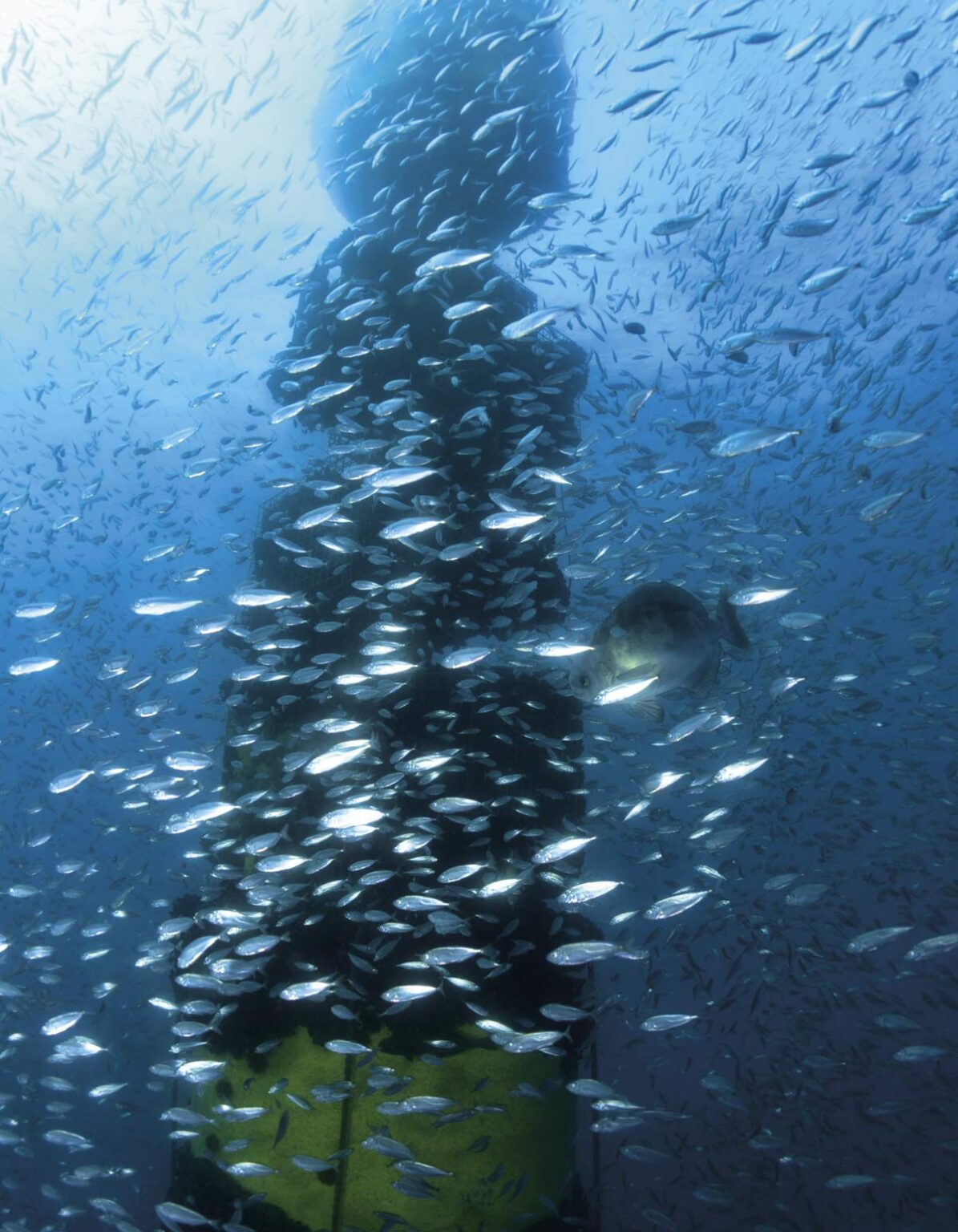 environment